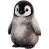 Soft Penguin Chick Illustration