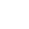 Englischer Springer Spaniel "Black Edition"