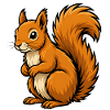 écureuil roux