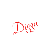 Moin Digga Ankerdesign