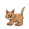 Funny Cat Cats Kids Child