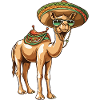 Camel Comic Funny Sombrero