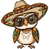 Owl Comic Funny Sombrero