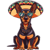 Doberman Dog Funny Sombrero