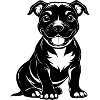 Sweet Happy Pitbul