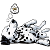 Dalmatians Dalmatian Keepers Dalmatian Owners