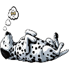 Dalmatians Dalmatian Keepers Dalmatian Owners