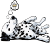 Hundemüde Dalmatiner Dalmatinerbesitzer Dalmatine