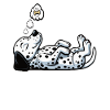 Feeling Dog Tired Dalmatian Dalmatian Owner