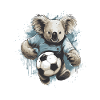 Koala Football Team