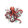 Octopus Football Team