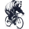 Bear on racing bike