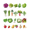 May Veggie Calendar Print
