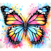 butterfly