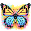 butterfly