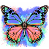 butterfly
