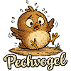 Pechvogel - süßer kleiner trotteliger Vogel