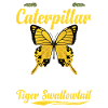  Tiger Swallowtail Insect Lover Entomology