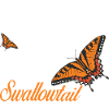  Entomology Insect Butterflies Eastern Tiger