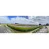 Panoramafeld mit Graben und Blumen