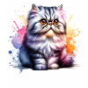 Perserkatze Geschenk
