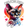 Devon Rex Mädchen Devon Rex