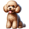 Caniche