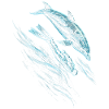 Freediving Freediving