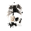 Witch cat on skull