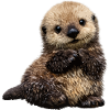 Otter cuddly toy on playful pattern