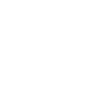 Butterfly Electric Guitar