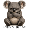 Grummeliger Koala – Not Today