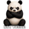 Panda Not Today Meme
