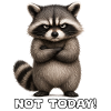 Grim raccoon – not today