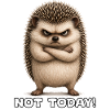 Not today hedgehogs with spines
