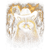 Raton laveur au chapeau western