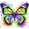 papillon