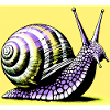 Escargot