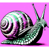 Snail