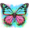 papillon