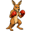 Kangaroo Boxing Hero