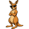 Sunglasses Kangaroo Attitude