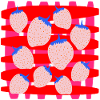 Erdbeeren