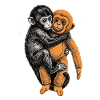 Baby Monkey Punch