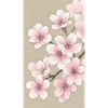 Sakura Cherry Blossom