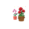 Rosenfeld: Be a Wildflower Gift Motivation