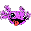 Axolotl coquin à la langue