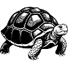 Schildkröte