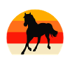 Team Appaloosa