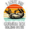 Lustige Cornish Rexkatze